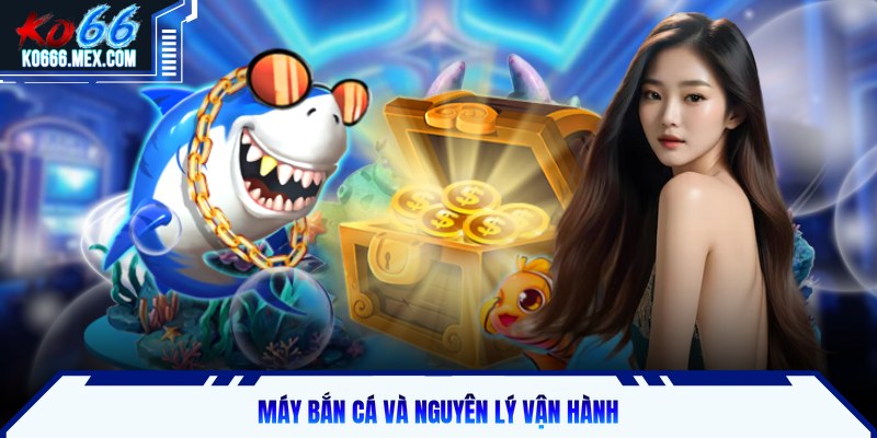 Máy bắn cá và nguyên lý vận hành